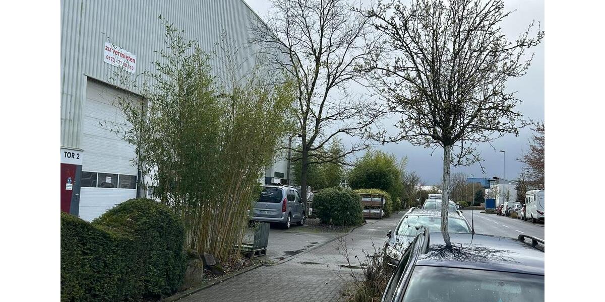 Gewerbeobjekt Niederkassel - 1.720&euro; | Angebot:25662923