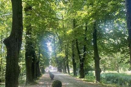 Wohnung Bergheim Ahe - 2 Zimmer, 60 m&sup2;, 209.000&euro; | Angebot:24529832