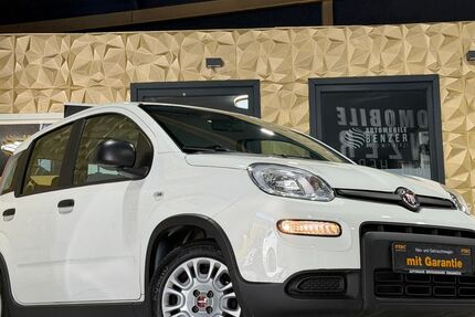 Fiat Panda 9.314 km 10.999 &euro; Wirges 56422