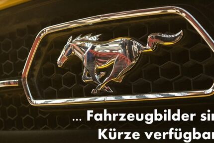 Ford Kuga 22.848 km 25.500 &euro; Köln 50769