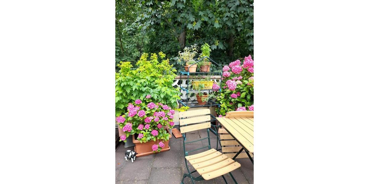 Etagenwohnung Brühl - 3 Zimmer, 70 m&sup2;, 767&euro; | Angebot:26122142