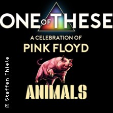 One Of These – A celebration of Pink Floyd / Animals Tour 08.05.2026 Kulturkirche