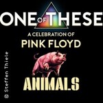 One of These Pink Floyd Tribute Live - a celebration of Pink Floyd Animals