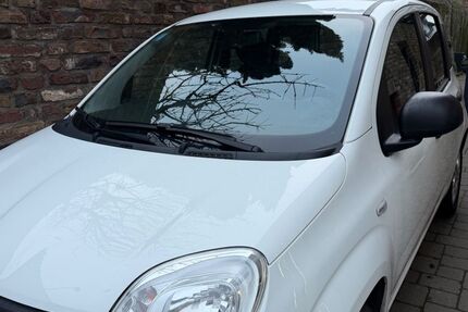 Fiat Panda 54.000 km 6.499 &euro; Pulheim 50259