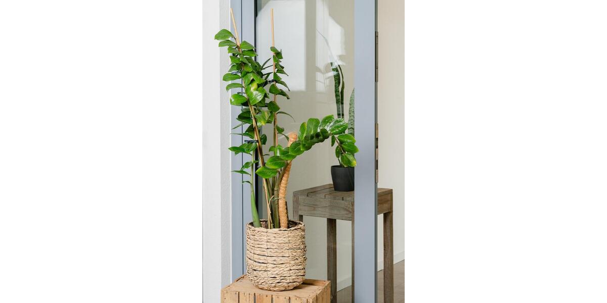 Gewerbeobjekt Köln Ehrenfeld - 1.100&euro; | Angebot:25958341