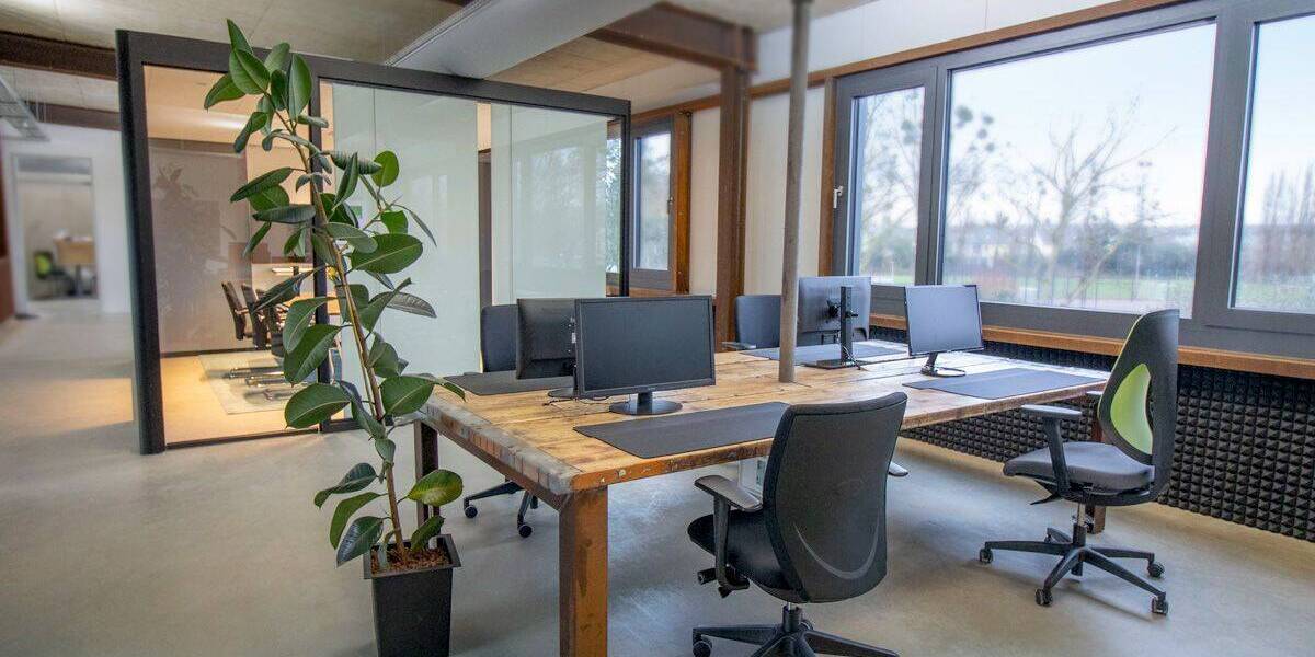 Gewerbeobjekt Brühl - 350&euro; | Angebot:25985010