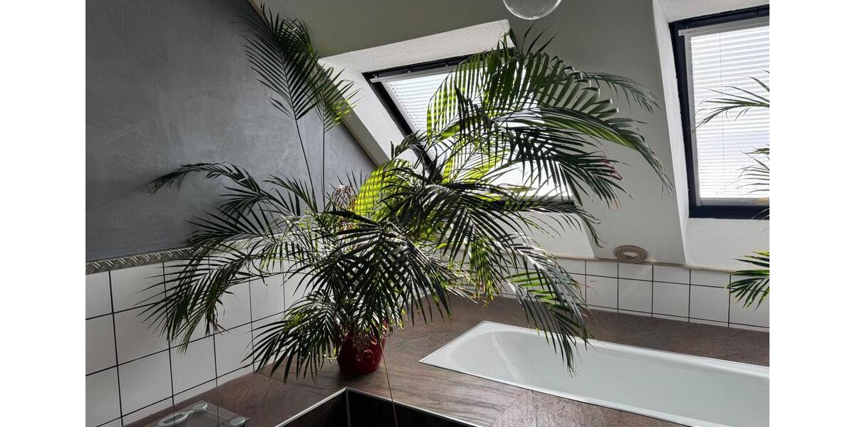 Doppelhaushälfte Euskirchen Dom-Esch - 5 Zimmer, 158 m&sup2;, 429.000&euro; | Angebot:26021169