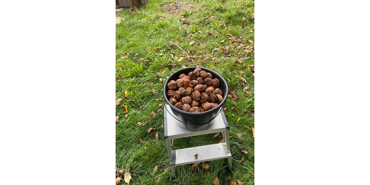 Einfamilienhaus Vettweiß - 8 Zimmer, 260 m&sup2;, 350.000&euro; | Angebot:25844064