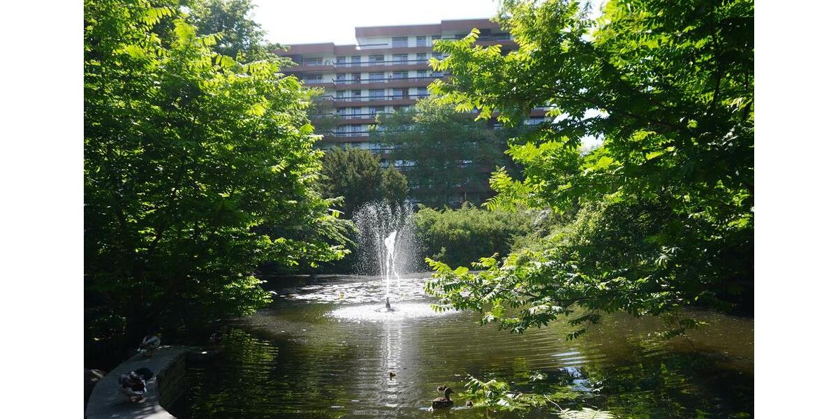 Etagenwohnung Köln Rodenkirchen - 1 Zimmer, 43 m&sup2;, 895&euro; | Angebot:24441587