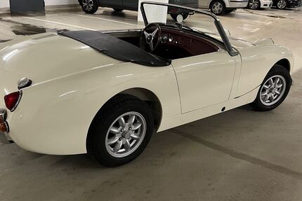 Austin Healey Andere 55.000 km 27.900 &euro; Köln 50735