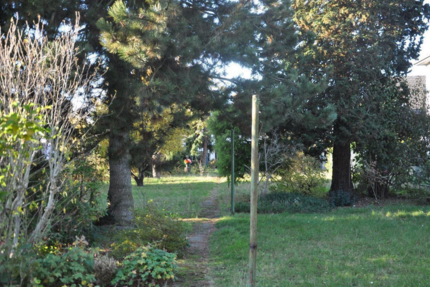 Grundstück Köln Lindenthal - 990.000&euro; | Angebot:25167631