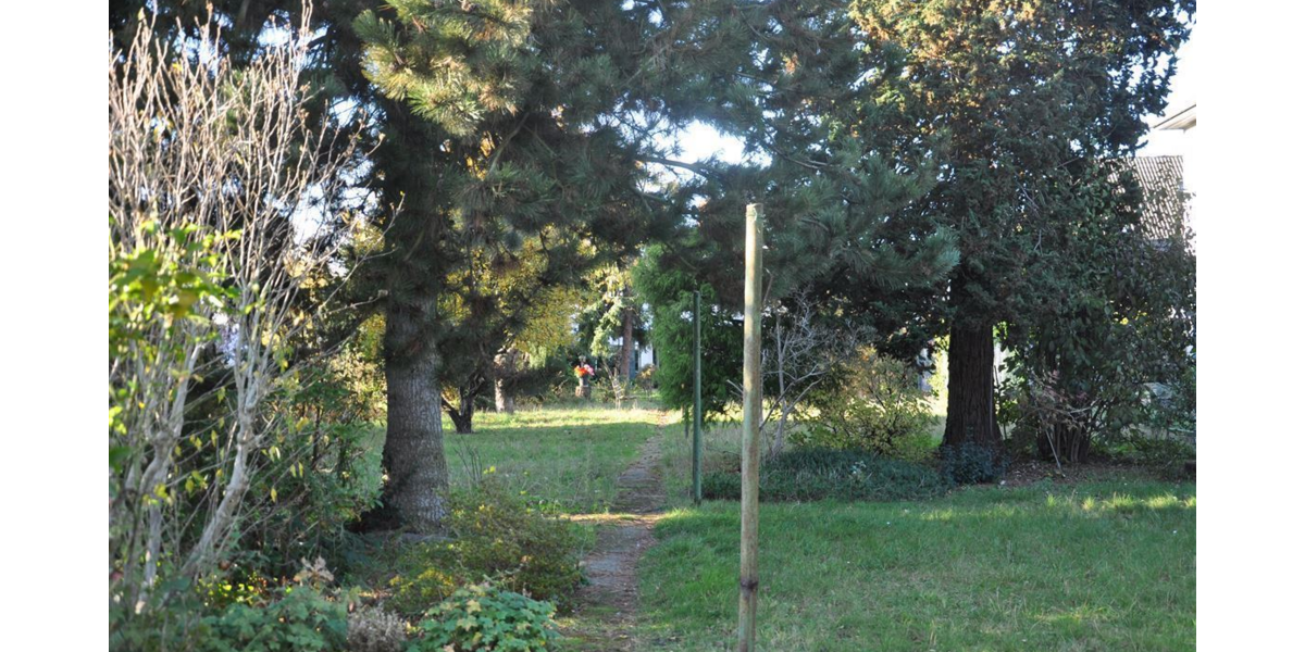 Grundstück Köln Lindenthal - 990.000&euro; | Angebot:25167631