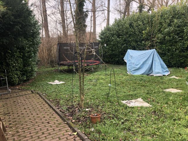 5 Eigentumswohnungen in Rommerskirchen - Mehrfamilienhaus, Wohnhaus Rommerskirchen Evinghoven | Angebot:24659504