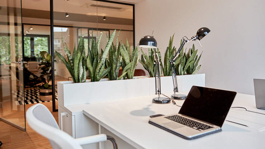 Gewerbeobjekt Köln Neustadt-Nord - 1.100&euro; | Angebot:25712528