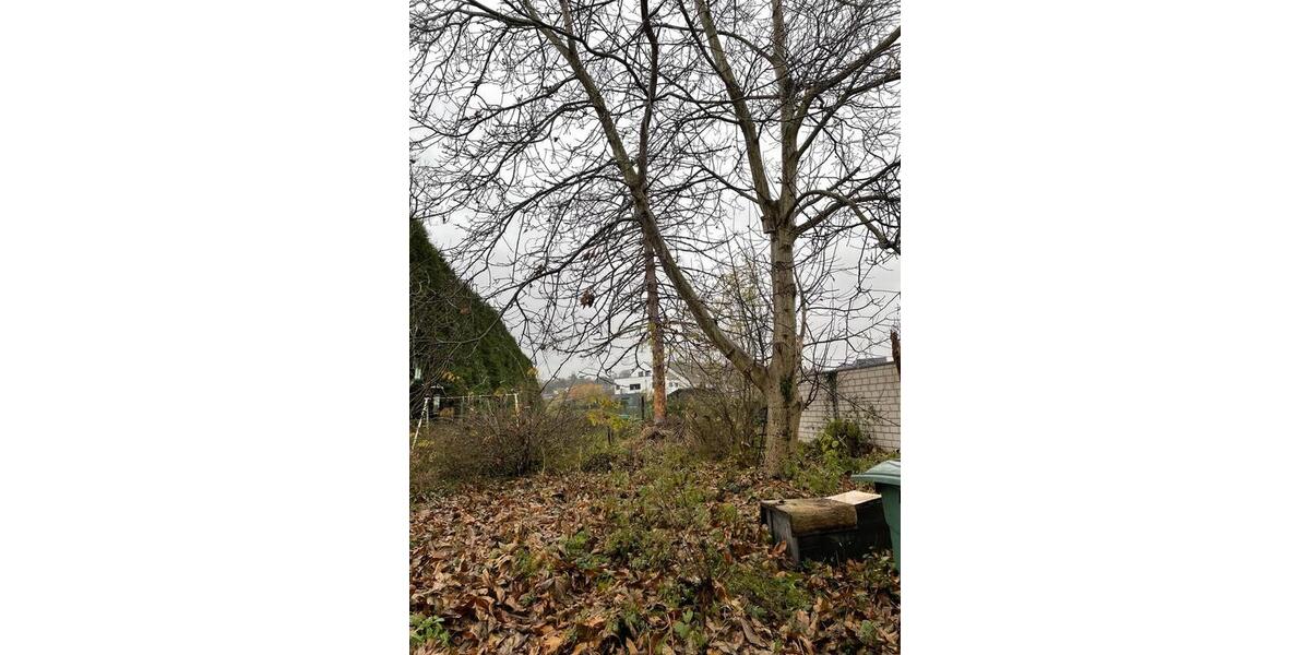 Mehrfamilienhaus, Wohnhaus Alfter - 520.000&euro; | Angebot:26288087