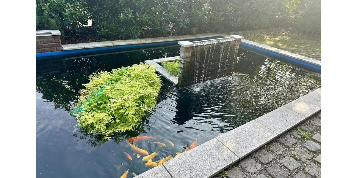 Gewerbeobjekt Euskirchen Dom-Esch - 623&euro; | Angebot:25724741