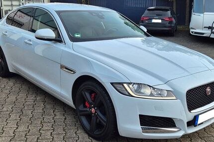 Jaguar XF 39.815 km 19.900 &euro; Köln 50769