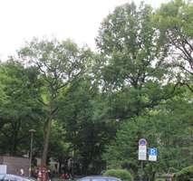 Erdgeschoßwohnung Köln Innenstadt - 3 Zimmer, 55 m&sup2;, 349.000&euro; | Angebot:9060077