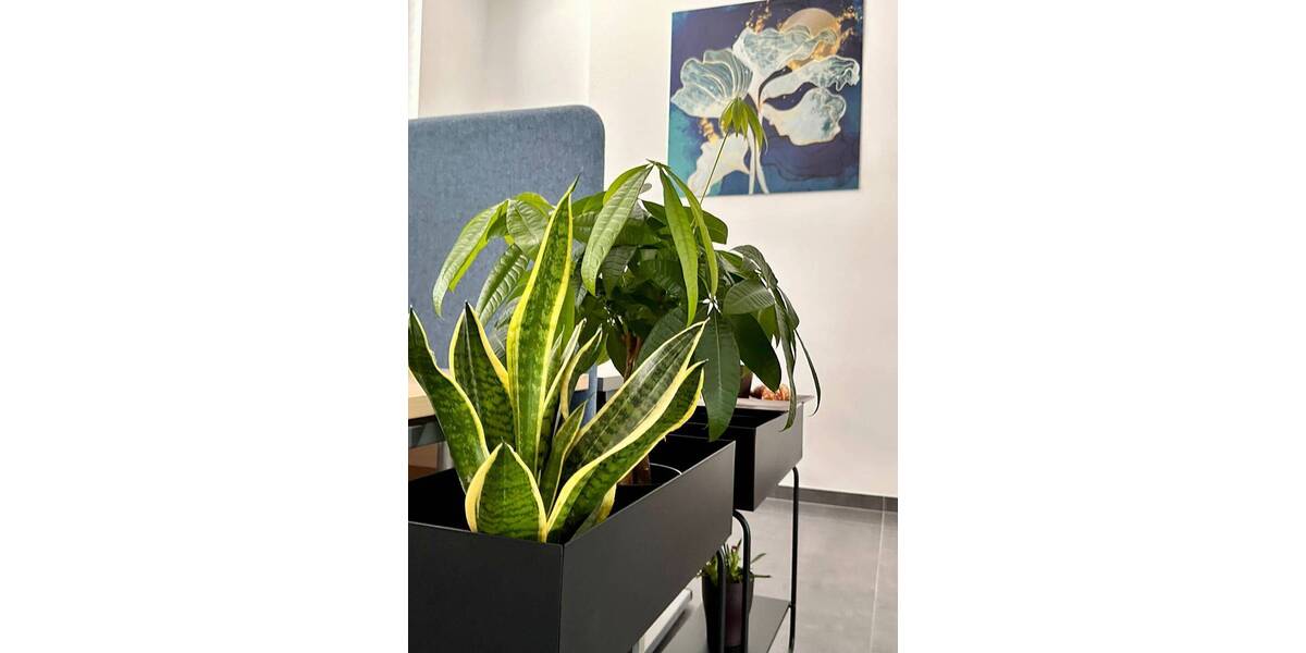 Gewerbeobjekt Brühl - 750&euro; | Angebot:25978154