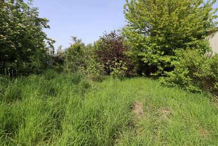 Grundstück Swisttal / Odendorf Odendorf - 320.000&euro; | Angebot:15777451