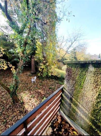 Mehrfamilienhaus, Wohnhaus Köln Weiden - 1 Zimmer, 278 m&sup2;, 1.299.800&euro; | Angebot:25729394