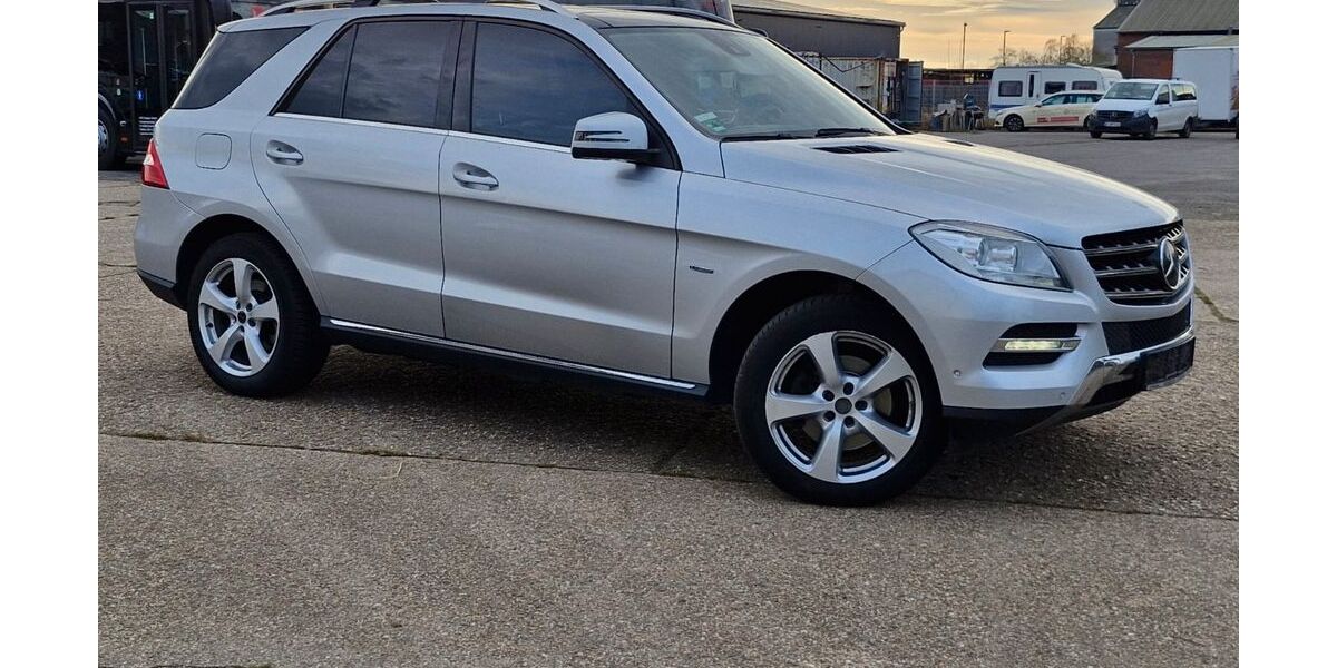 Mercedes-Benz ML 250 284.339 km 11.600 &euro; Titz 52445