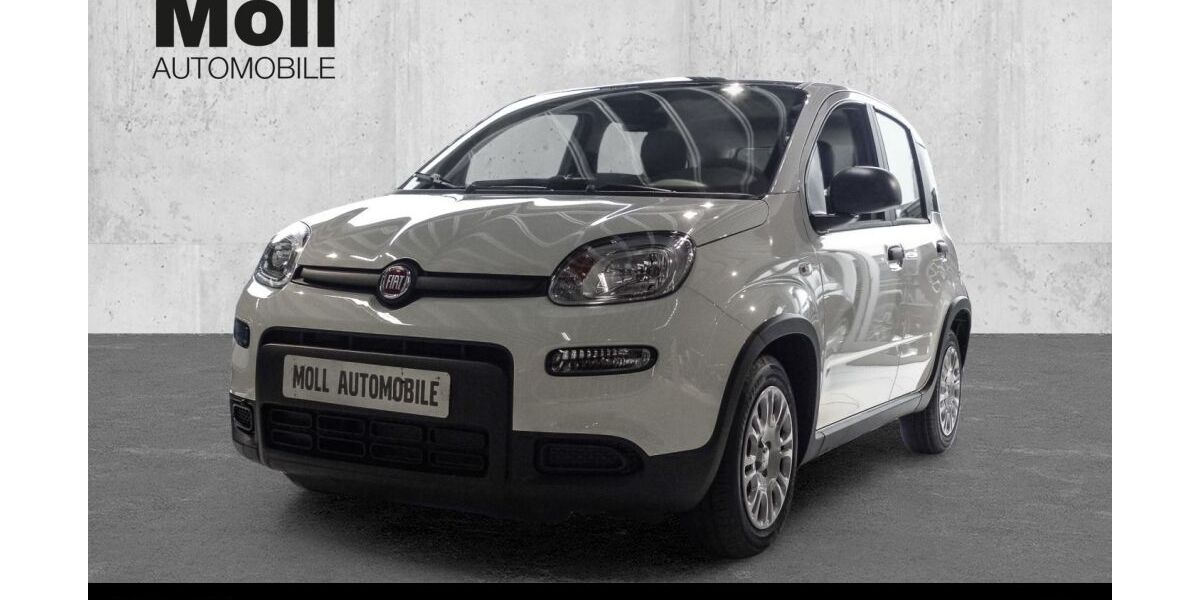 Fiat Panda 5.000 km 13.090 &euro; Köln 50825