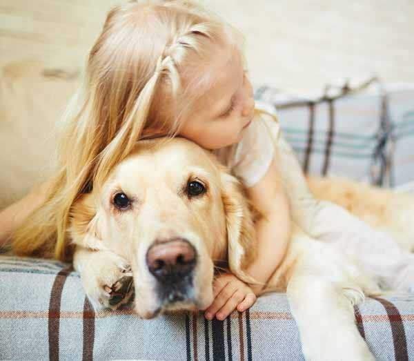 Einfamilienhaus Kerpen - 6 Zimmer, 155 m&sup2;, 475.089&euro; | Angebot:25683647