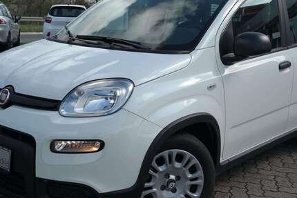 Fiat Panda 4.900 km 12.950 &euro; Grevenbroich 41516