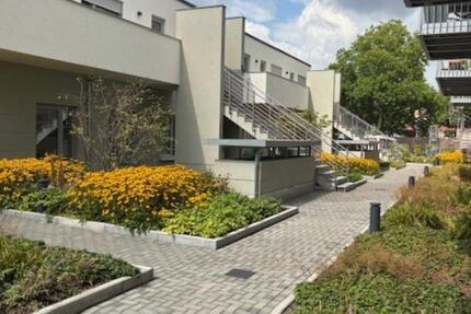 Wohnung Düren Distelrath - 2 Zimmer, 64 m&sup2;, 849&euro; | Angebot:25854652