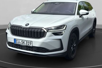 Skoda Kodiaq 18.350 km 41.990 &euro; Euskirchen 53879
