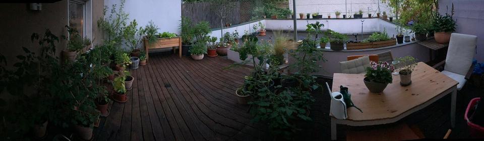 Etagenwohnung Köln Nippes - 2 Zimmer, 50 m&sup2;, 1.300&euro; | Angebot:25891402