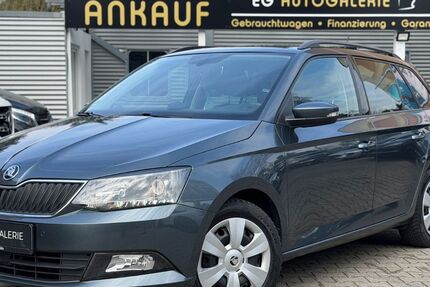 Skoda Fabia 133.700 km 9.850 &euro; Köln 51109