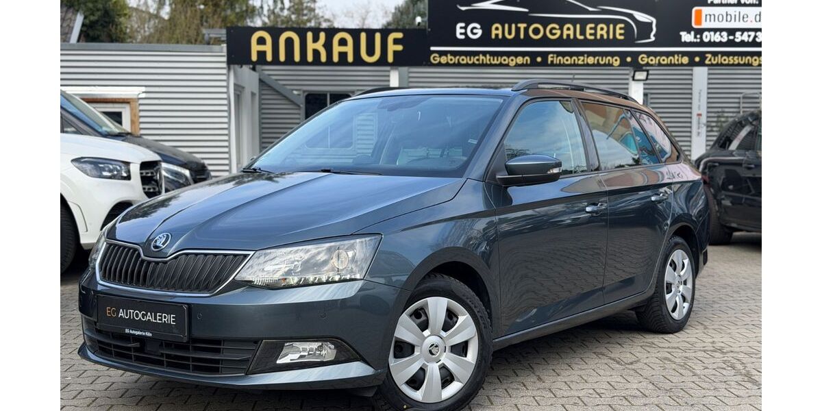 Skoda Fabia 133.700 km 9.850 &euro; Köln 51109