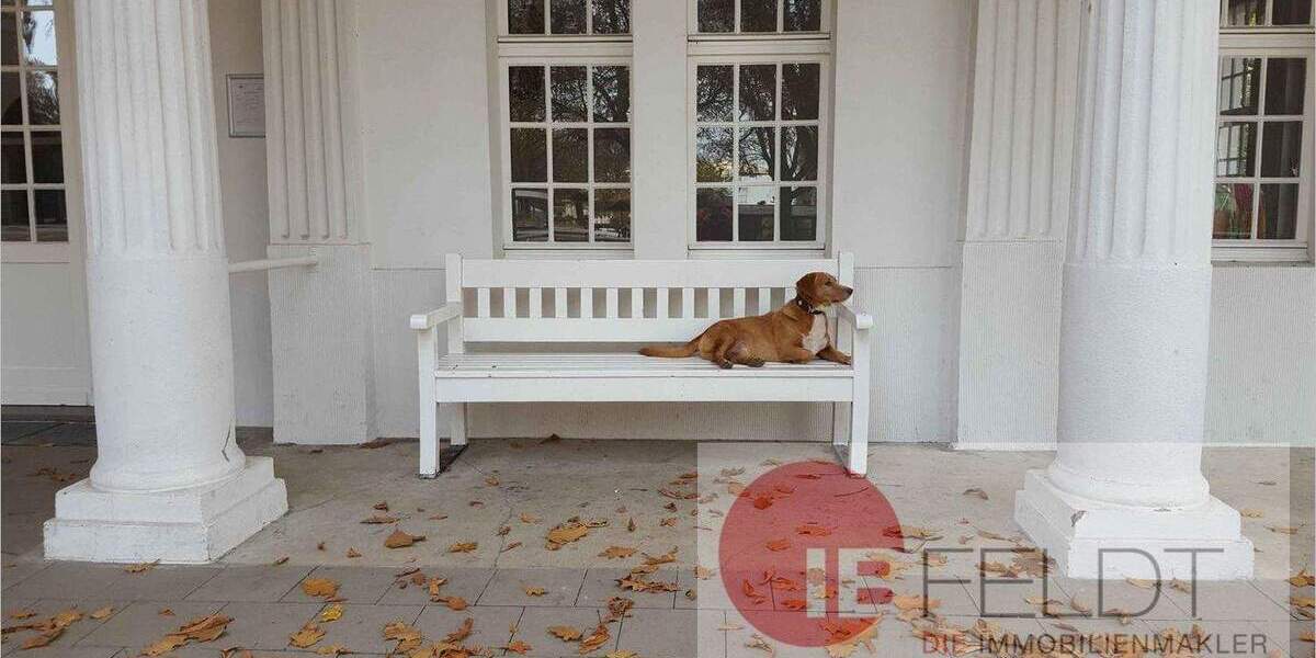 Mehrfamilienhaus, Wohnhaus Jüchen Gierath - 538.000&euro; | Angebot:25696104