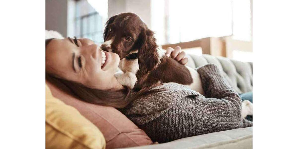 Einfamilienhaus Erftstadt Lechenich - 5 Zimmer, 109 m&sup2;, 483.499&euro; | Angebot:25836342