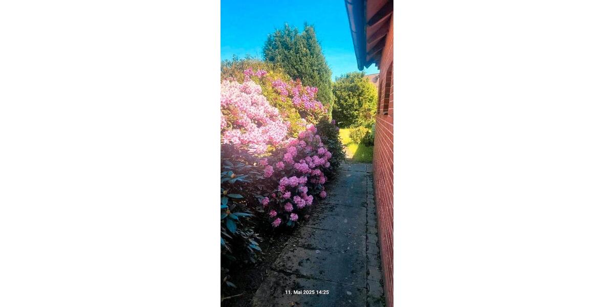 Mehrfamilienhaus, Wohnhaus Köln Kalk - 7 Zimmer, 250.000&euro; | Angebot:22611742