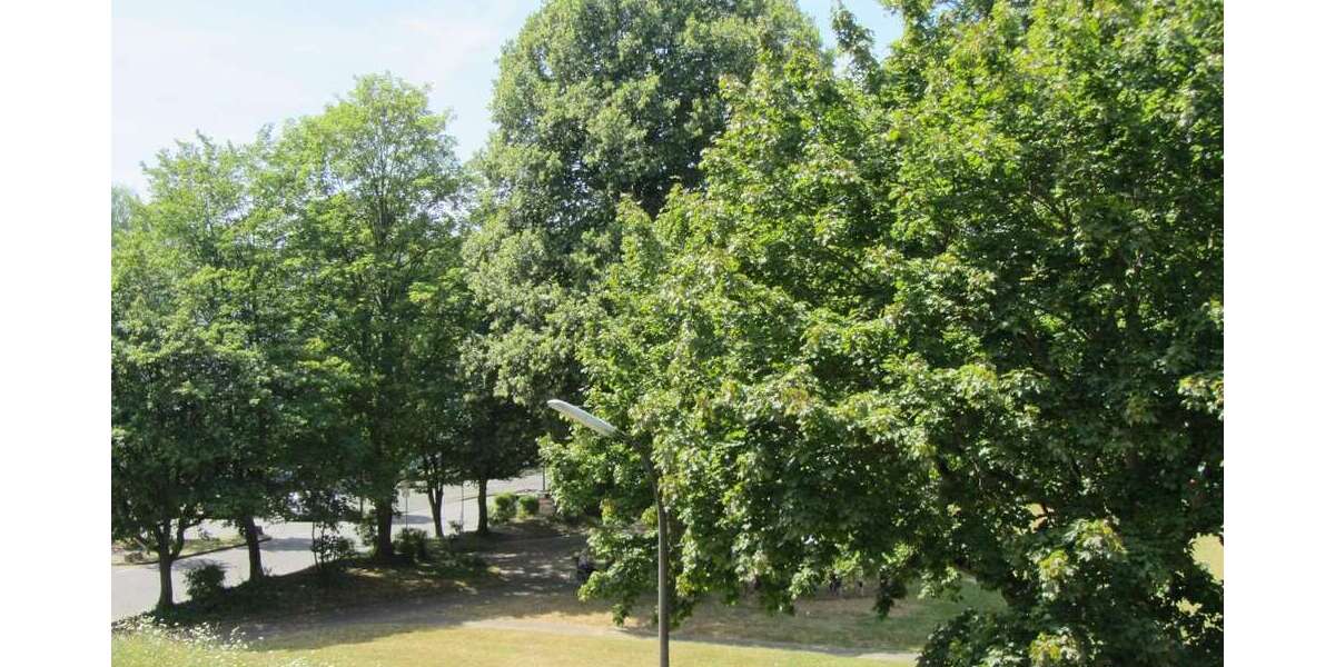 Etagenwohnung Alfter / Bonn Bonn - 2 Zimmer, 57 m&sup2;, 239.000&euro; | Angebot:25917128