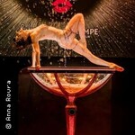 Burlesque Bijoux - Burlesque Show