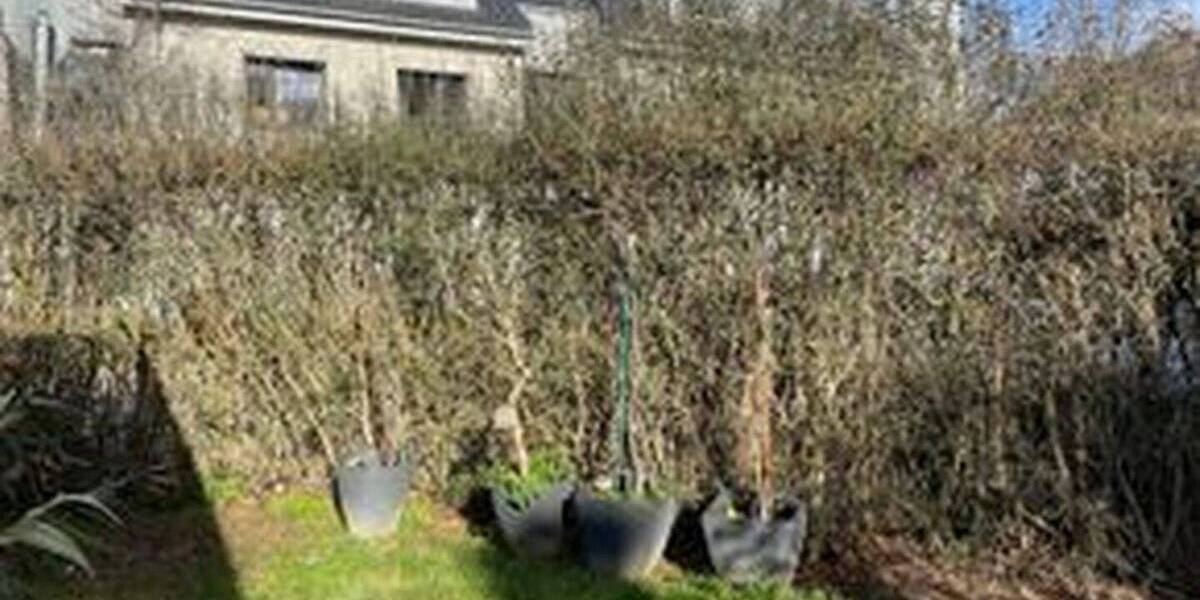 Einfamilienhaus Wesseling Berzdorf - 5 Zimmer, 134 m&sup2;, 699.000&euro; | Angebot:25970032