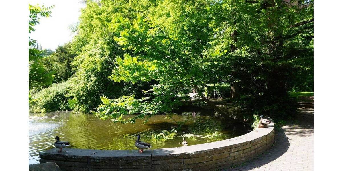Etagenwohnung Köln Bayenthal - 3 Zimmer, 98 m&sup2;, 1.700&euro; | Angebot:26804290