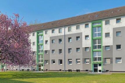 Wohnung Leverkusen Alkenrath - 2 Zimmer, 56 m&sup2;, 648&euro; | Angebot:25881169