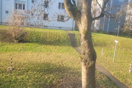 Wohnung Köln Innenstadt - 2 Zimmer, 60 m&sup2;, 900&euro; | Angebot:25911818