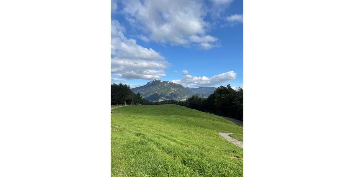 Erdgeschoßwohnung Weilerswist - 1 Zimmer, 93 m&sup2;, 980&euro; | Angebot:25935340