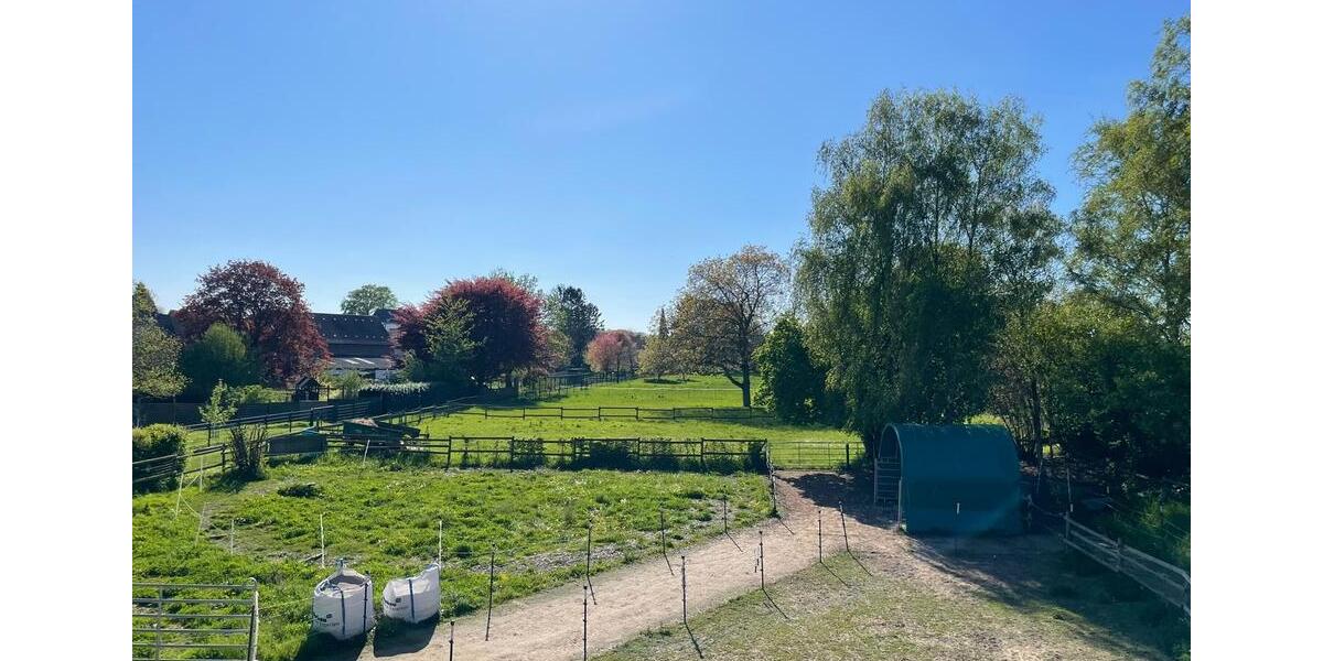 Einfamilienhaus Jüchen - 3 Zimmer, 100 m&sup2;, 955.000&euro; | Angebot:26821750