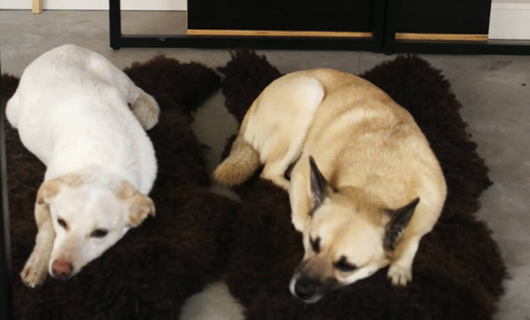 Gewerbeobjekt Köln Altstadt-Süd - 340&euro; | Angebot:25989407