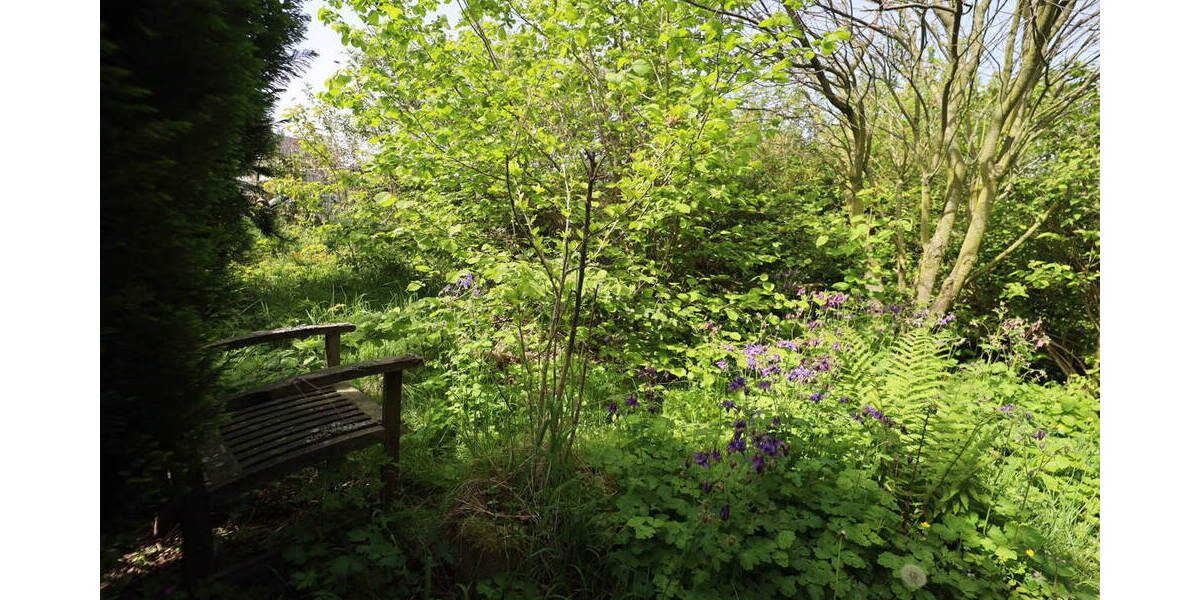 Grundstück Swisttal / Odendorf Odendorf - 320.000&euro; | Angebot:25730592