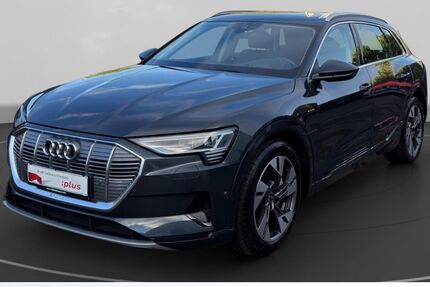 Audi e-tron 40.533 km 35.550 &euro; Euskirchen 53879