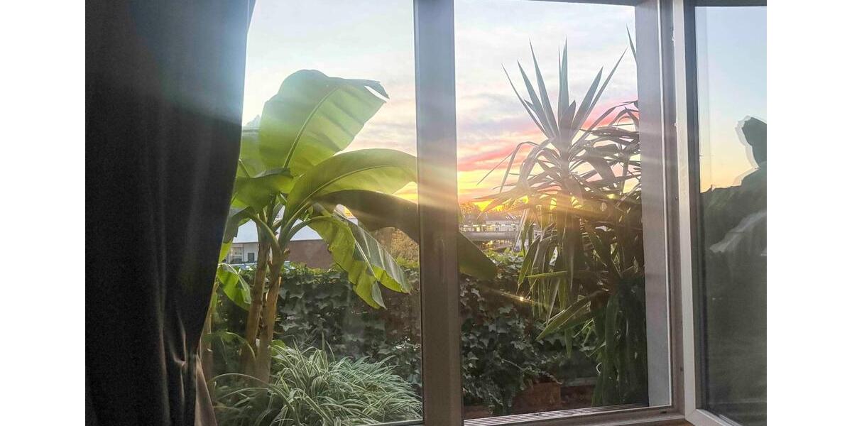 Einfamilienhaus Köln Nippes - 3 Zimmer, 100 m&sup2;, 2.300&euro; | Angebot:25903115