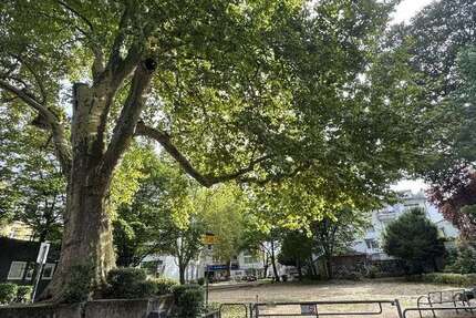 Wohnung Köln-Innenstadt Innenstadt - 2 Zimmer, 49 m&sup2;, 359.000&euro; | Angebot:24347084